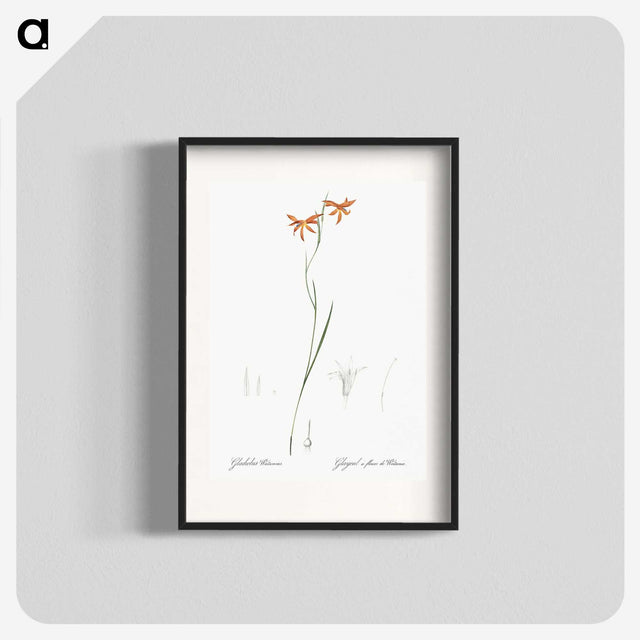 3-42_The-Lilies_blk