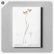 3-42_The-Lilies_canvas