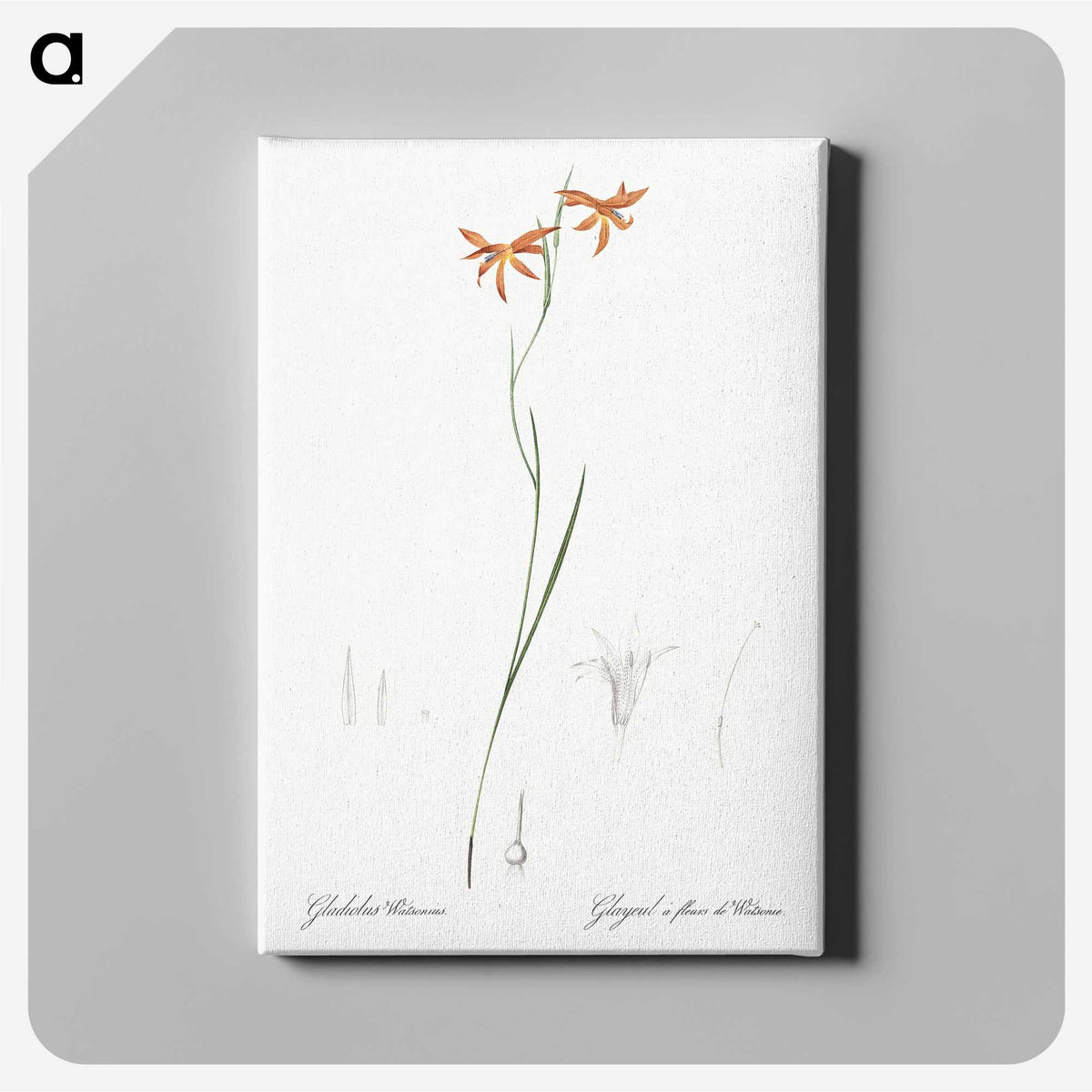 3-42_The-Lilies_canvas