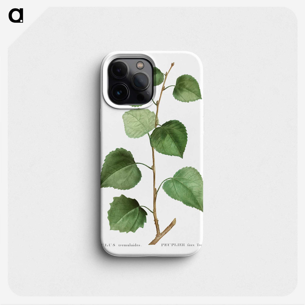 3-42_Treatise-on-Trees-and-Shrubs_phone