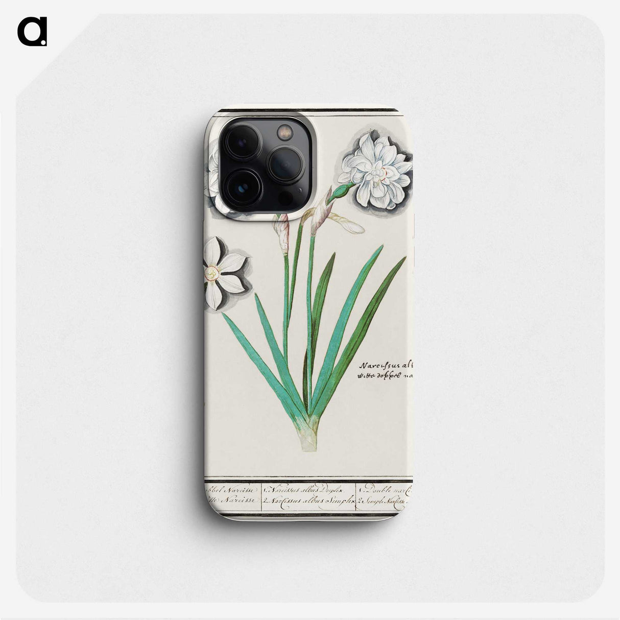 3-43_Anselmus-Boetius-de-Boodt_phone