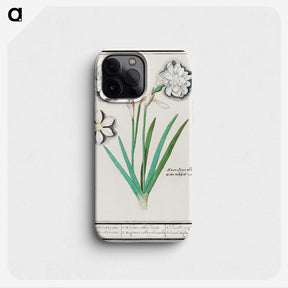 3-43_Anselmus-Boetius-de-Boodt_phone