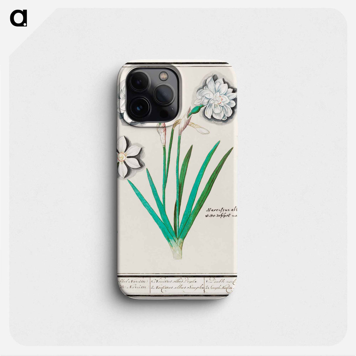 White daffodil, Narcissus - アンセルムス ボエティウス デ ブート Phone Case.