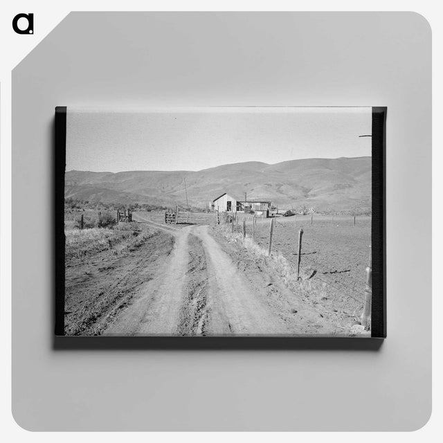 3-43_Dorothea-Lange_canvas