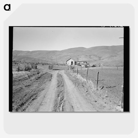 3-43_Dorothea-Lange_picture-crop