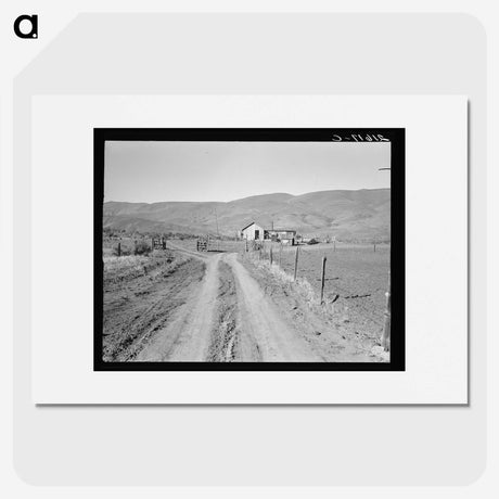 3-43_Dorothea-Lange_picture
