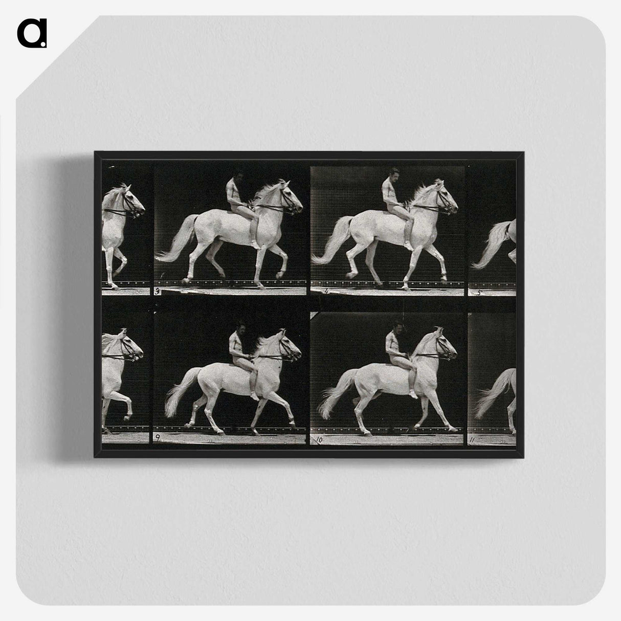 3-43_Eadweard-Muybridge_blk-crop