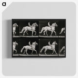 3-43_Eadweard-Muybridge_blk-crop