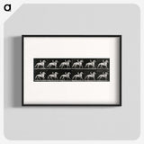 3-43_Eadweard-Muybridge_blk