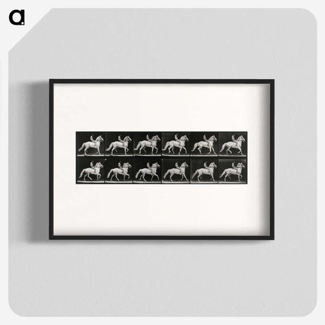 3-43_Eadweard-Muybridge_blk