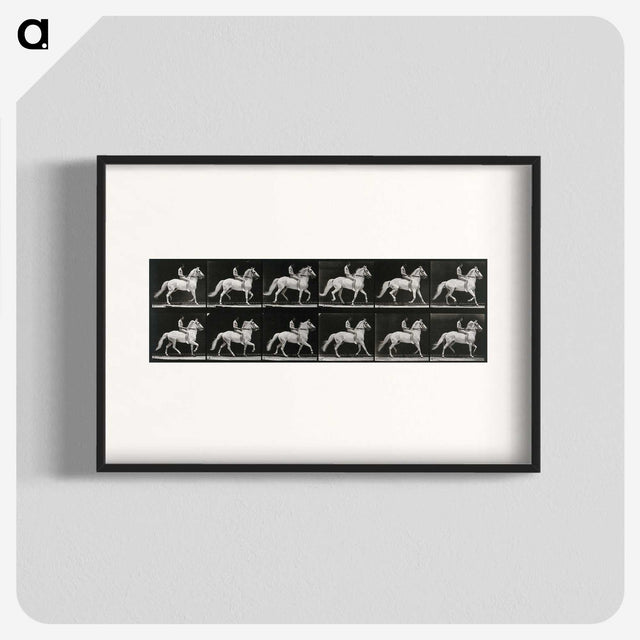 3-43_Eadweard-Muybridge_blk