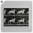 3-43_Eadweard-Muybridge_canvas