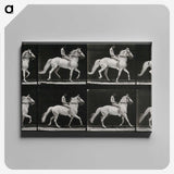 3-43_Eadweard-Muybridge_canvas