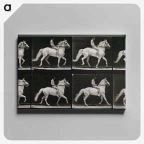 3-43_Eadweard-Muybridge_canvas