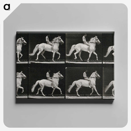 3-43_Eadweard-Muybridge_canvas