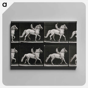 アートパネル-Walking Horse
 - エドワード マイブリッジ Canvas.