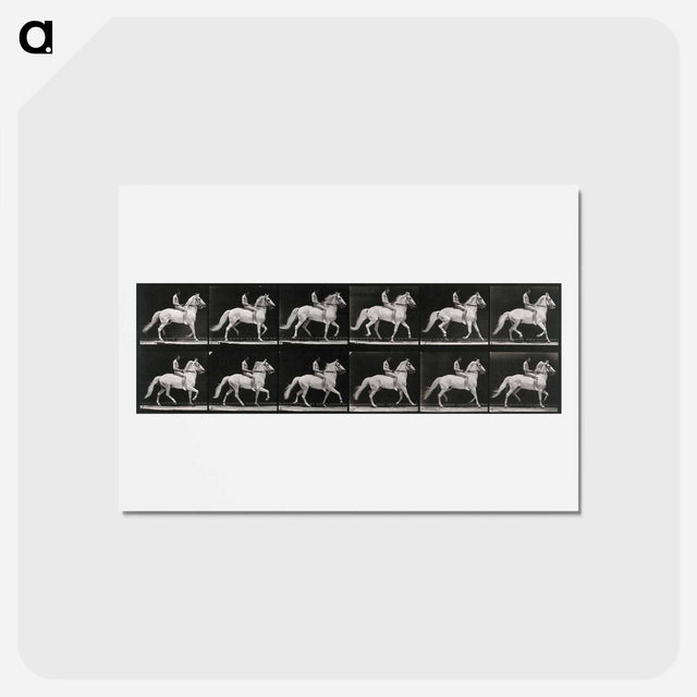 アートポストカード-Walking Horse
 - エドワード マイブリッジ Postcard.