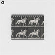 3-43_Eadweard-Muybridge_memo