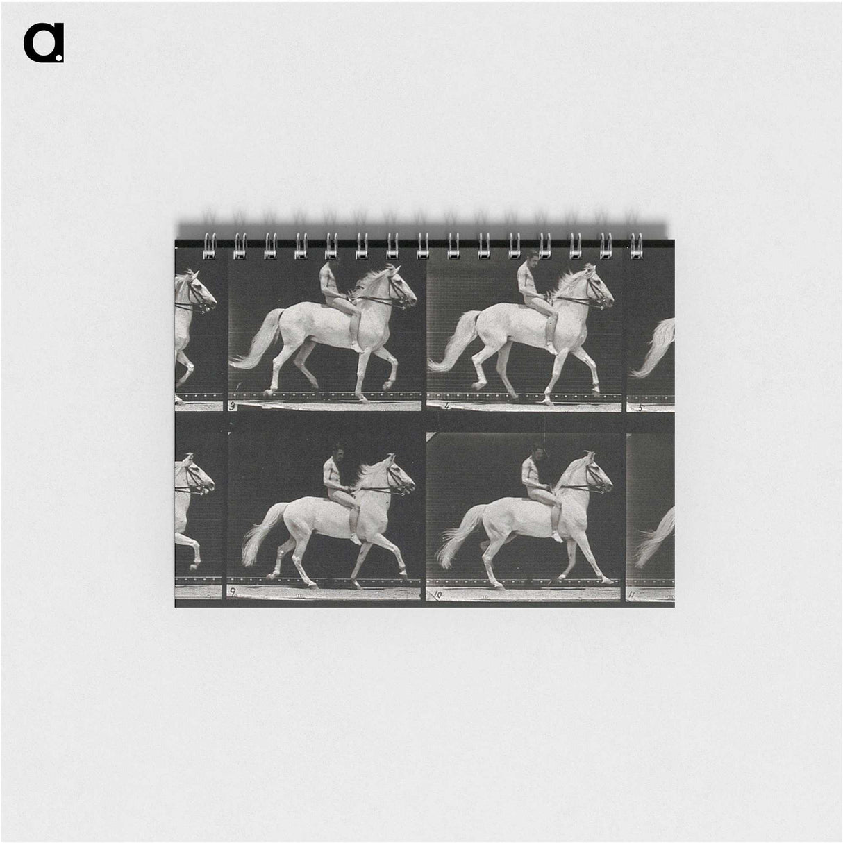 3-43_Eadweard-Muybridge_memo