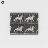 3-43_Eadweard-Muybridge_memo