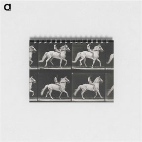 3-43_Eadweard-Muybridge_memo