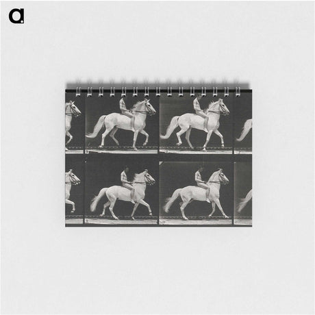 3-43_Eadweard-Muybridge_memo