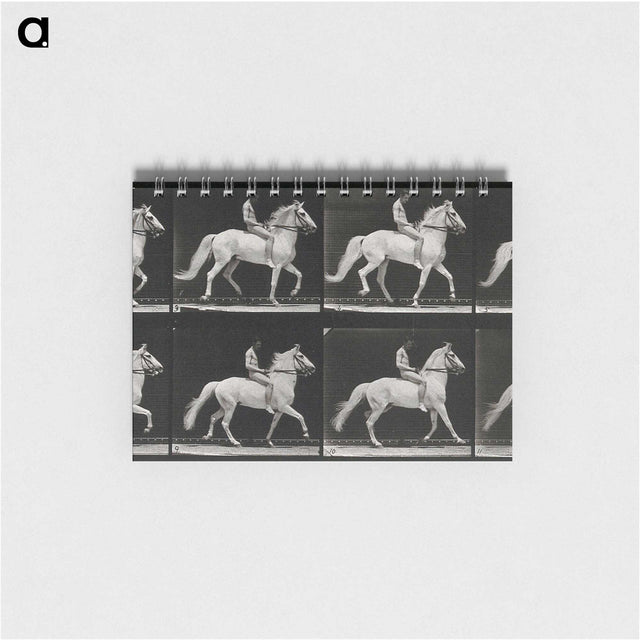 3-43_Eadweard-Muybridge_memo