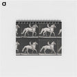 アートメモ帳-Walking Horse
 - エドワード マイブリッジ Memo.