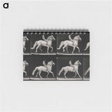 アートメモ帳-Walking Horse
 - エドワード マイブリッジ Memo.