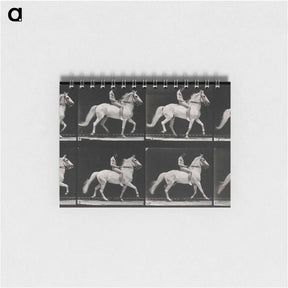 アートメモ帳-Walking Horse
 - エドワード マイブリッジ Memo.