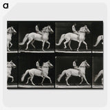 3-43_Eadweard-Muybridge_picture-crop
