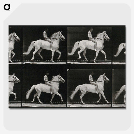 3-43_Eadweard-Muybridge_picture-crop
