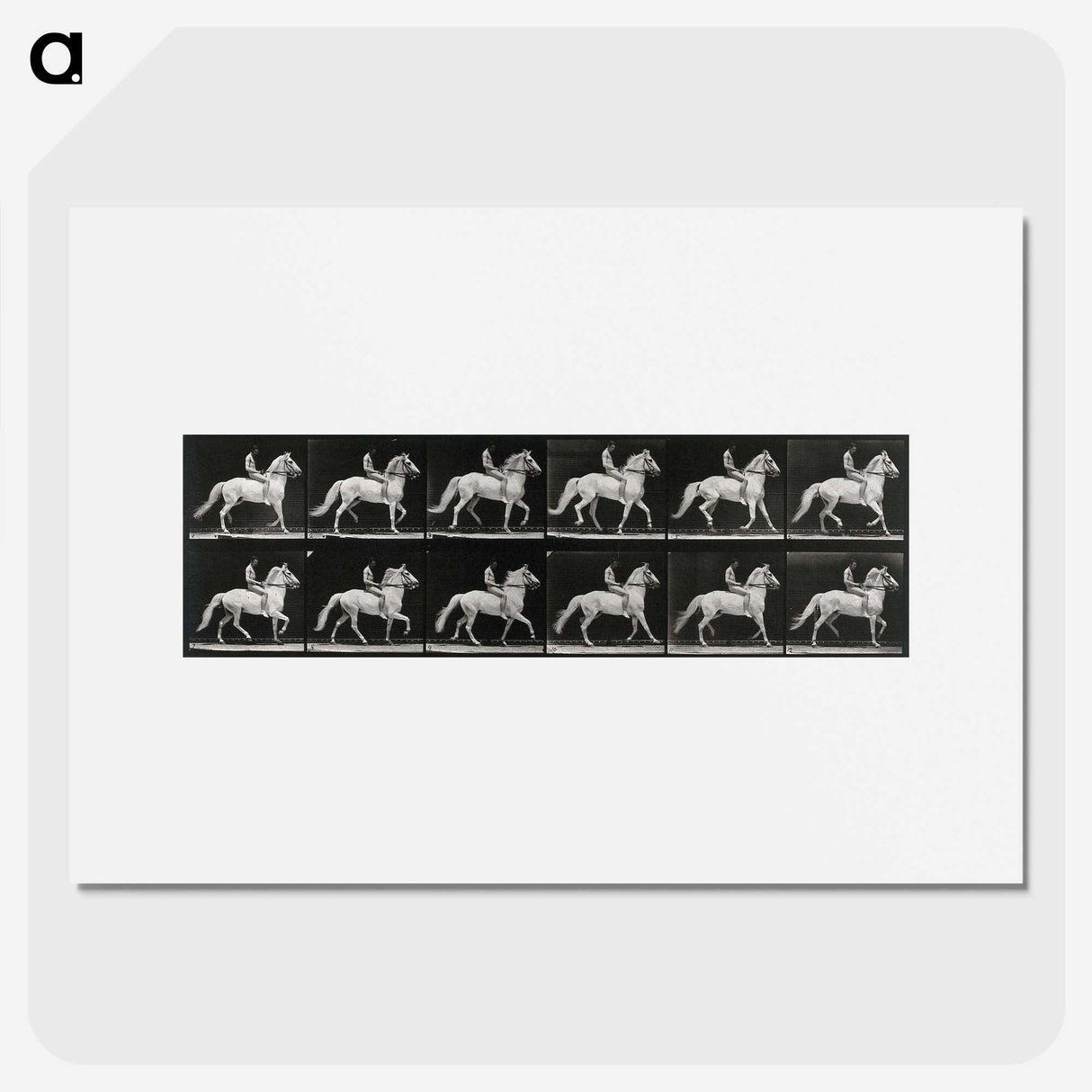 3-43_Eadweard-Muybridge_picture