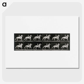 3-43_Eadweard-Muybridge_picture