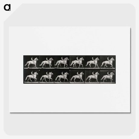3-43_Eadweard-Muybridge_picture