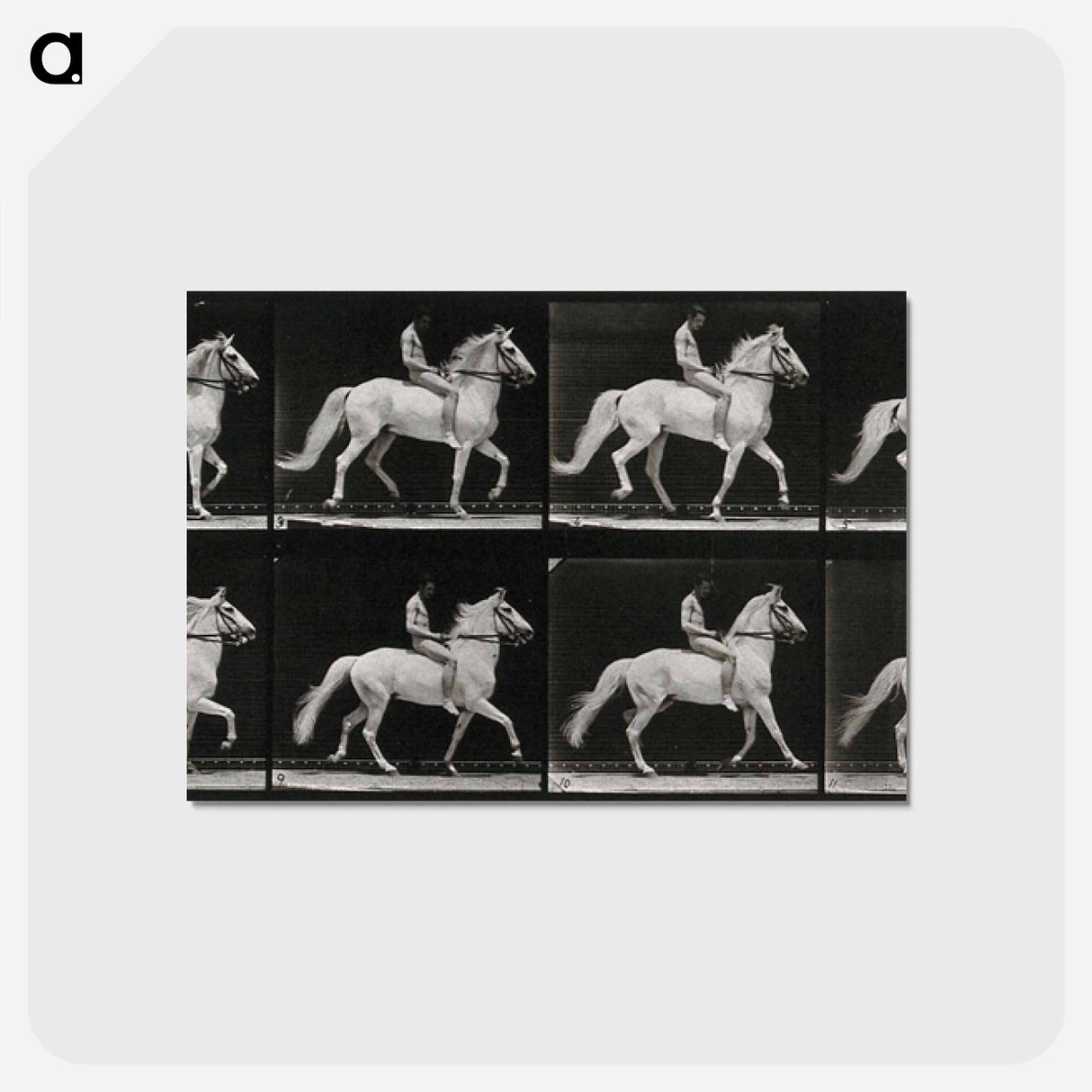 アートポストカード-Walking Horse
 - エドワード マイブリッジ Postcard.