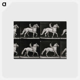 アートポストカード-Walking Horse
 - エドワード マイブリッジ Postcard.
