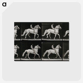 3-43_Eadweard-Muybridge_postcard