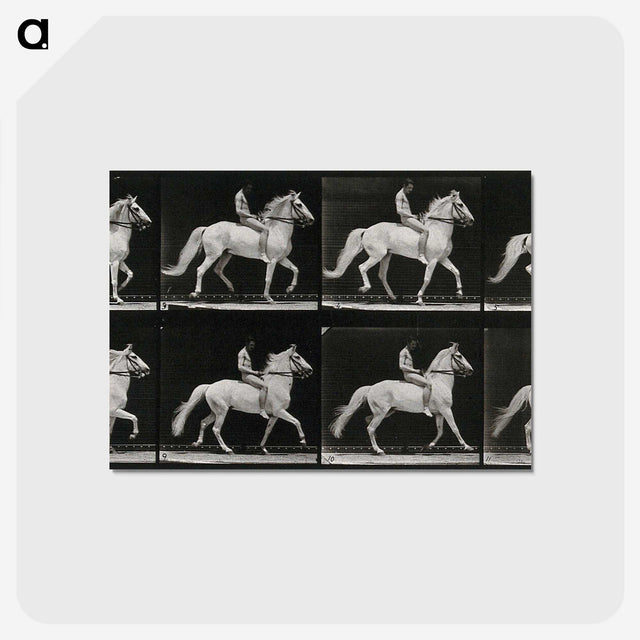 3-43_Eadweard-Muybridge_postcard