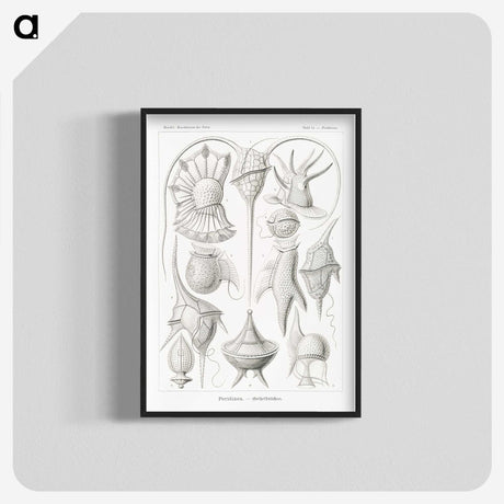 3-43_Ernst-Haeckel_blk-crop