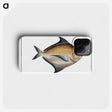 3-43_Ichtyologie-ou-Histoire-naturelle_phone