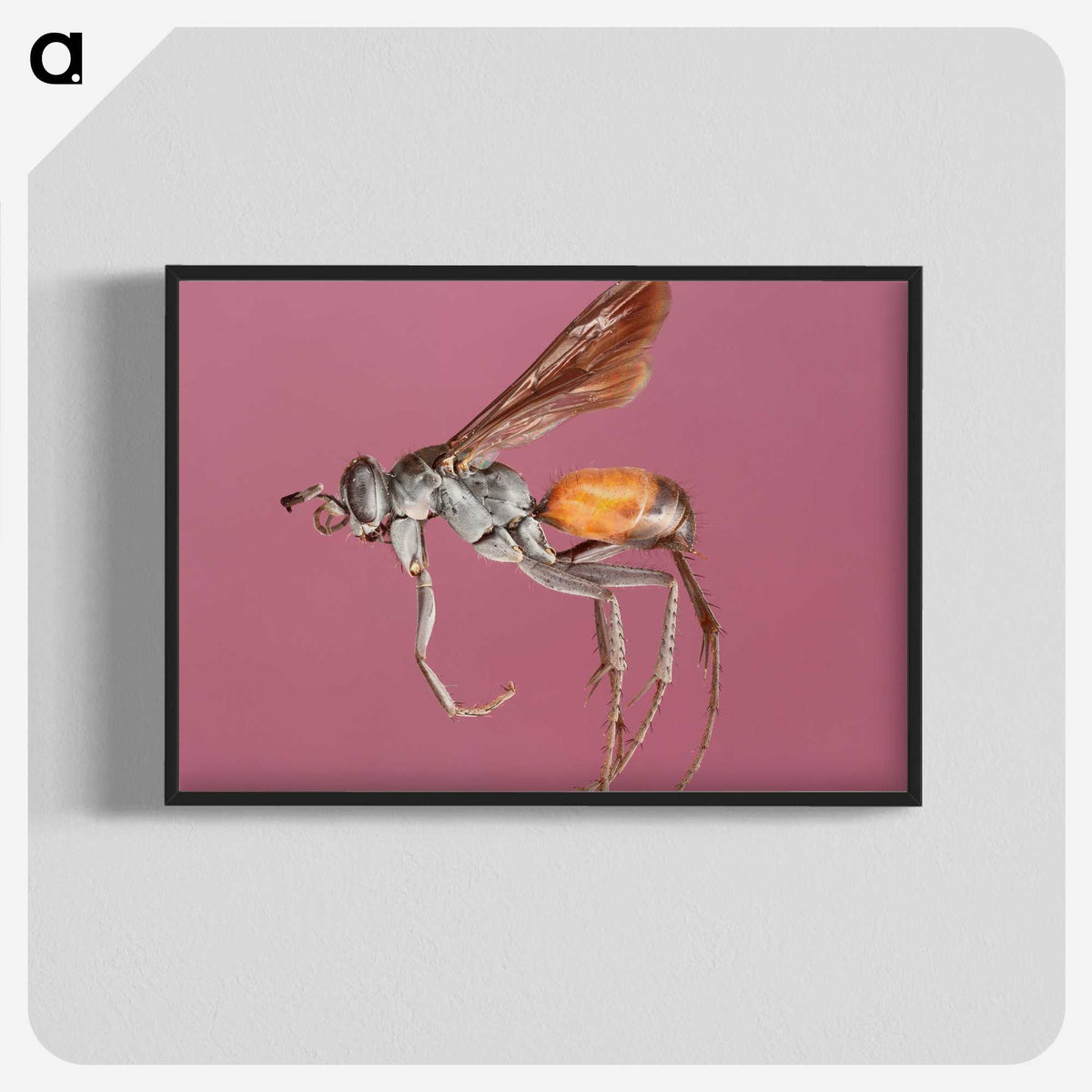 3-43_Insects-Unlocked-Project_blk-crop