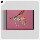 3-43_Insects-Unlocked-Project_blk-crop
