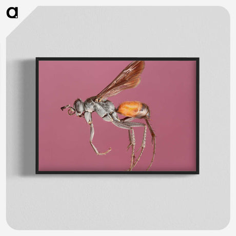 3-43_Insects-Unlocked-Project_blk-crop