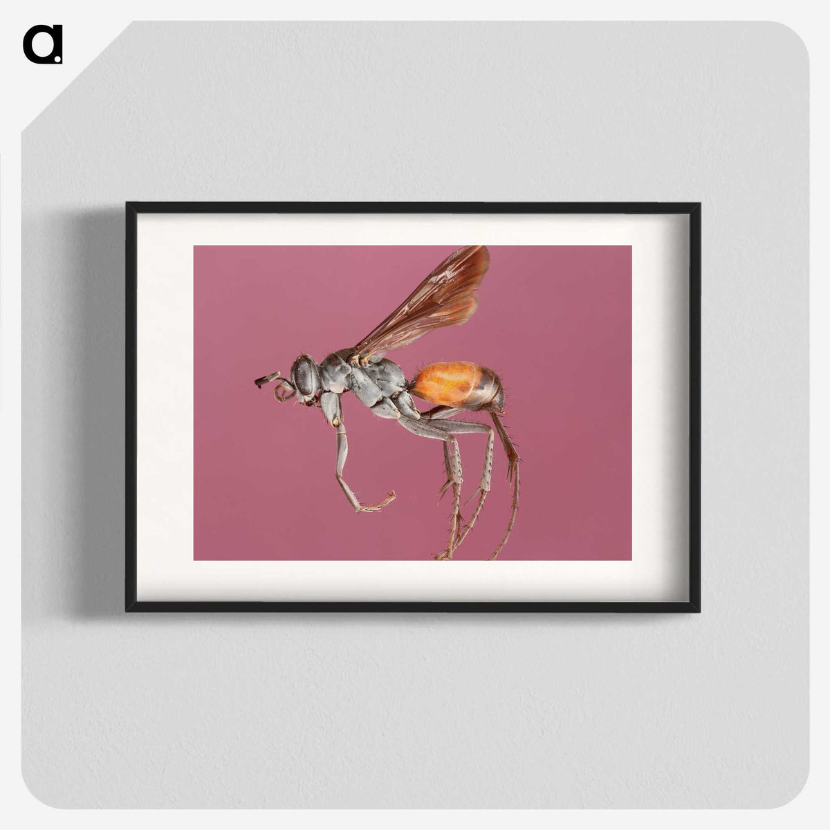 3-43_Insects-Unlocked-Project_blk
