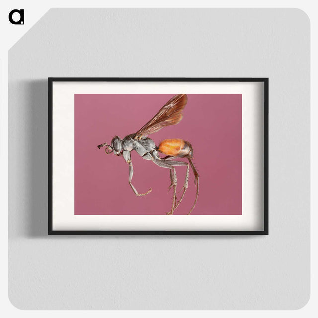 3-43_Insects-Unlocked-Project_blk