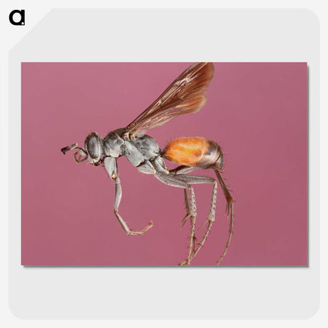 3-43_Insects-Unlocked-Project_picture-crop