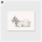 アートポストカード-Lying goat - ジャン ベルナール Postcard.