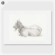 3-43_Jean-Bernard_picture