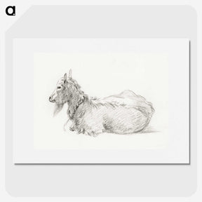 3-43_Jean-Bernard_picture